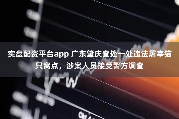 实盘配资平台app 广东肇庆查处一处违法屠宰猫只窝点，涉案人员接受警方调查